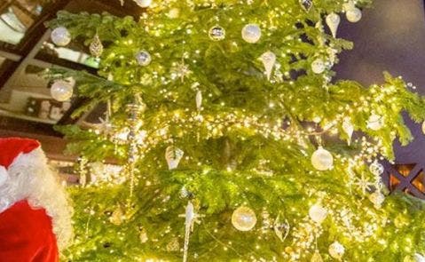 El Ã¡rbol de Navidad rebosa de diamantes, joyas de estilo art-decÃ³ y oro en polvo. Foto: Kempinski Hotel BahÃ­a.