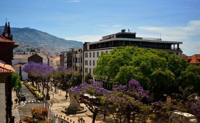 Avenida Arriaga, Funchal. Foto: Francisco Correia | Turismo de Madeira.