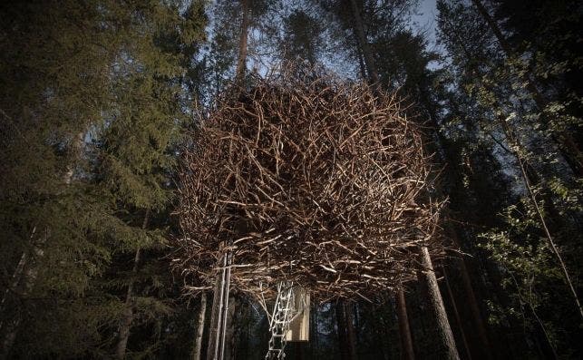 Bird's Nest. Foto: Tree Hotel.