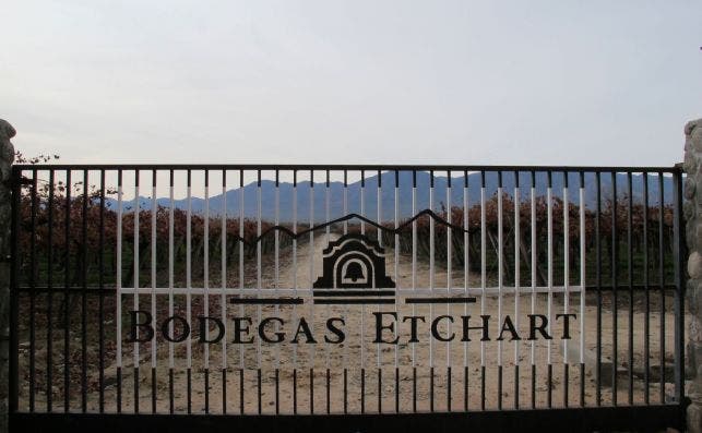 Bodegas Etchart. Foto: Mar Nuevo