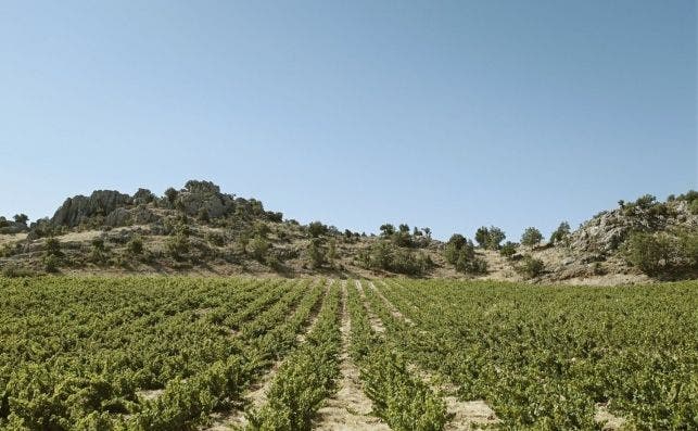 Bodegas IXSIR, Monte LÃ­bano.