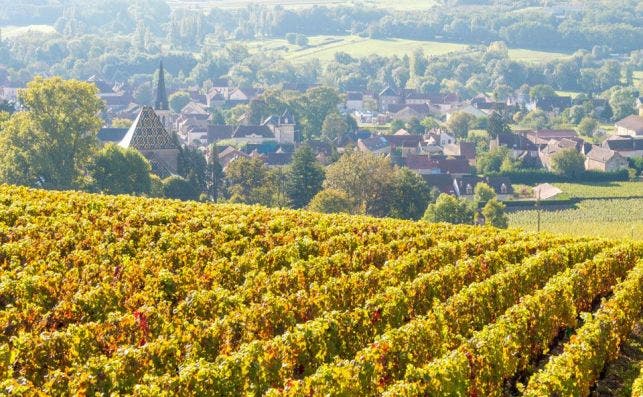 BorgonÌƒa foto Visit French Wines