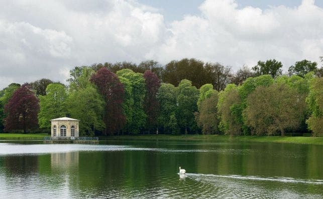 Bosque de Fontainebleu. Foto: Pixabay.