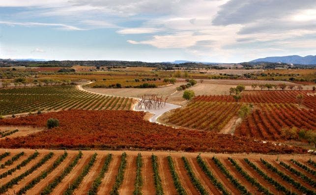 BOSQUE DE HIERRO Vicente GarciÌa Plana