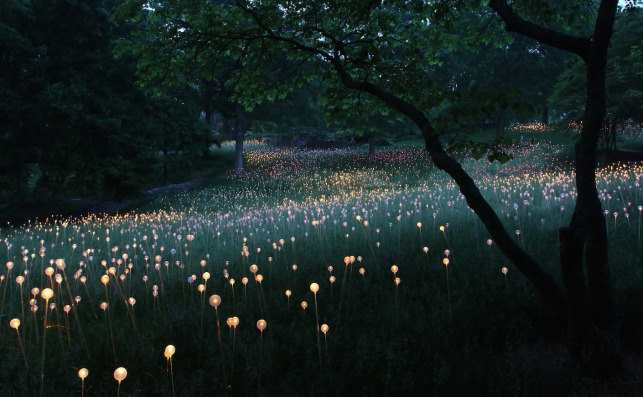 Bruce Munro14