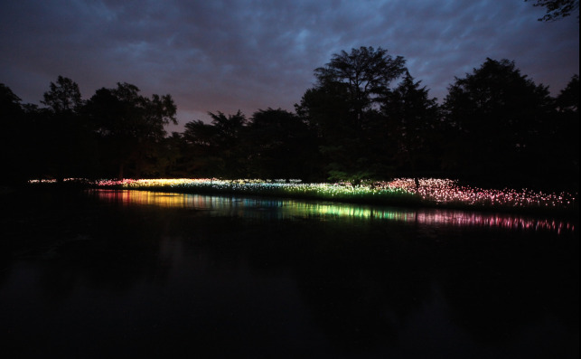 Bruce Munro18