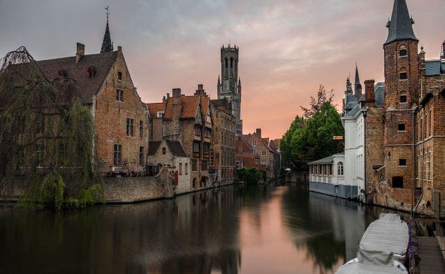 Brujas. Foto Elijah G. Unsplash