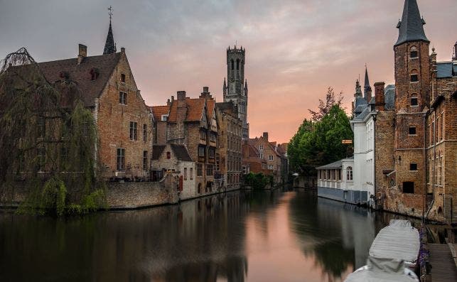 Brujas. Foto Elijah G. Unsplash