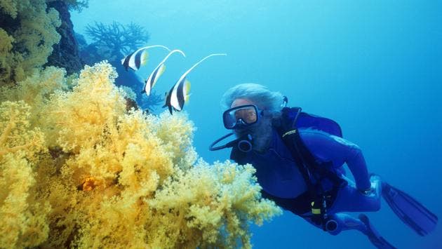 Bucea junto al autÃ©ntico Jean Michel Cousteau. Foto: Jean Michel Cousteau Resort.