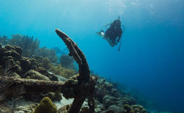 Buceo en Bonaire. Foto Kris Mikael Krister Unsplash