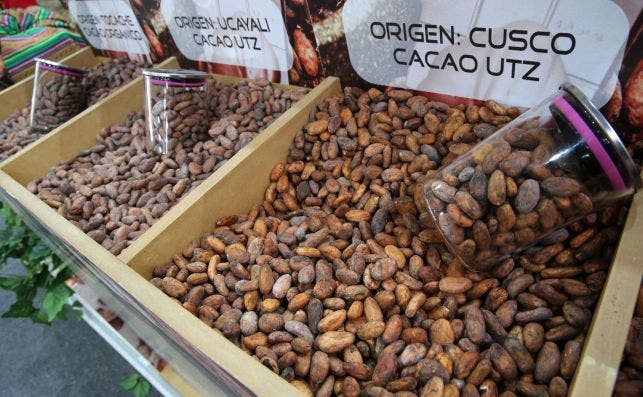 Cacao orgaÌnico amazoÌnico en la deÌcima edicioÌn del SaloÌn del Cacao y Chocolate de Lima. Foto EFE.