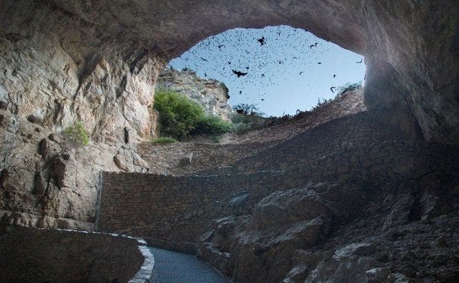 Carlsbad Caverns National Park. Foto NPS