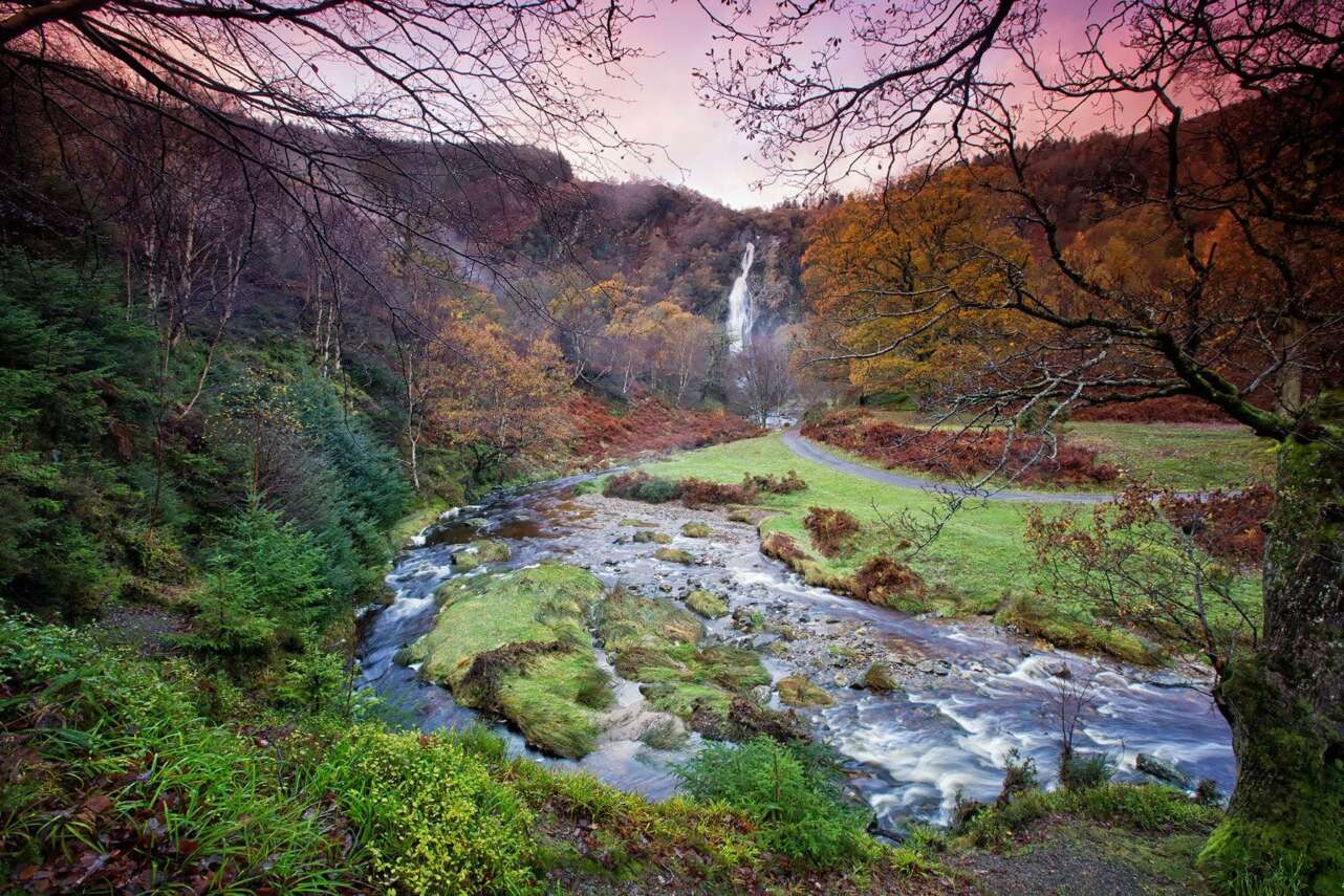 Cascada Powerscourt. Foto Turismo de Irlanda.