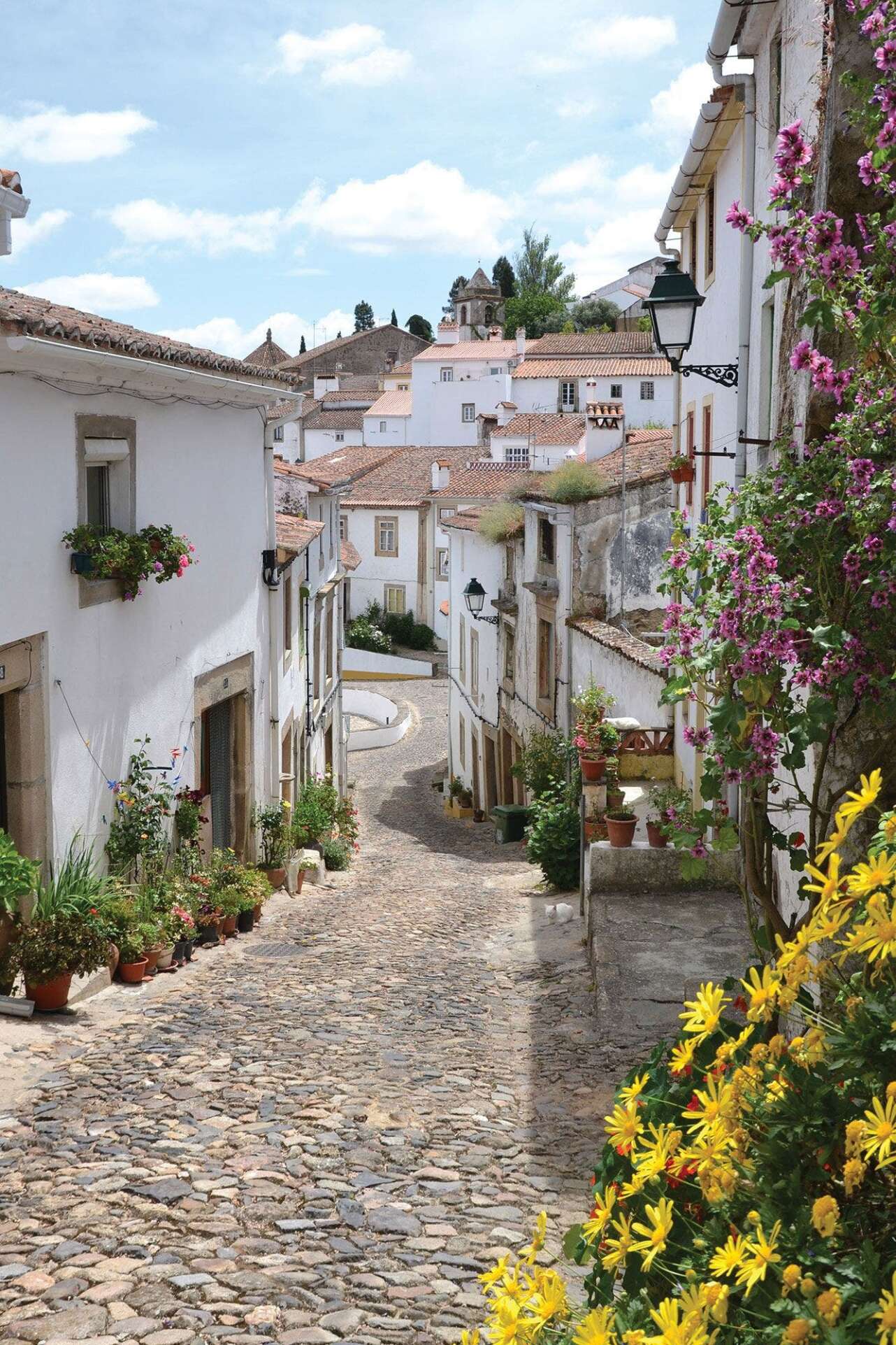 Castelo de Vide. Foto: Turismo del Alentejo.