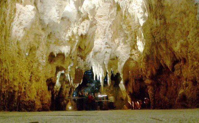 'Cathedral' in Waitomo Cave