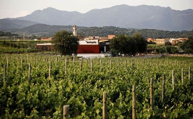 Celler La Vinyeta (foto La Vinyeta)