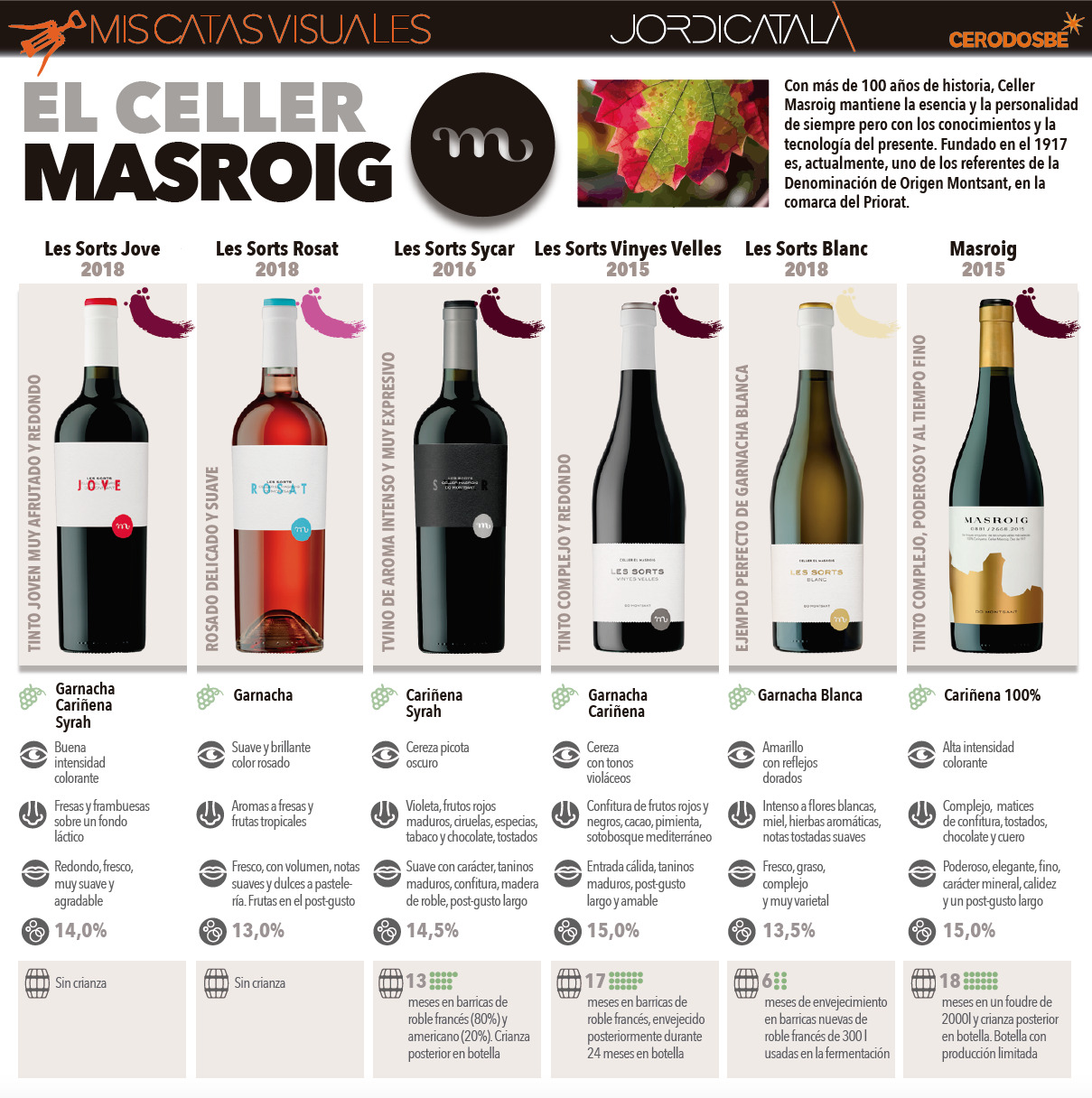 CELLER MASROIG 2