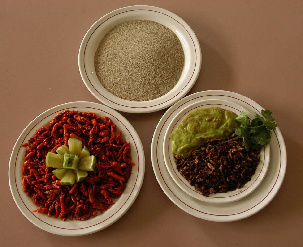 Chapulines, MÃ©xico. Foto Mario GuzmÃ¡n | EFE.