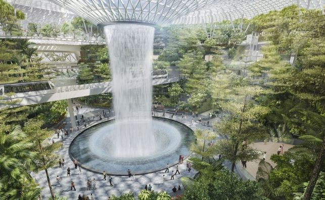 El aeropuerto de Chiangi-Singapur presenta la mayor selva tropical del mundo...en un espacio cerrado.