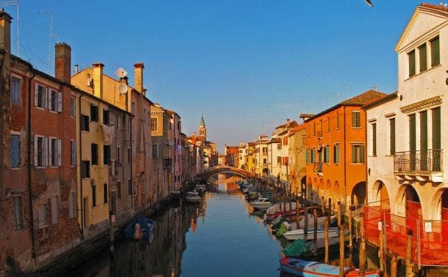 chioggia