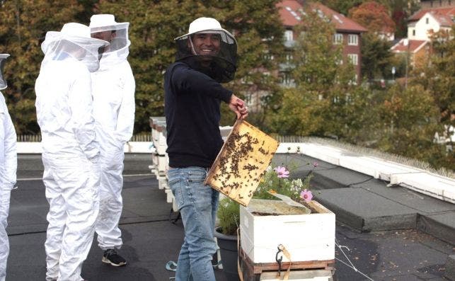 Alexander du Rietz enseÃ±a las colmenas que producen miel para el hotel Scandic Vulkan, de Oslo. Foto: JP Chuet.