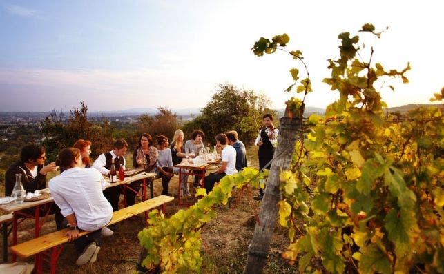 Comida en un viÃ±edo. Foto Peter Rigaud Turismo de Viena.