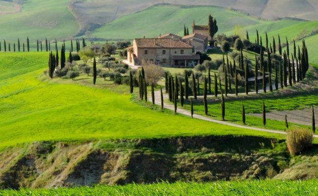 Carretera que une a Asciano y Chisure. Foto: Mirella-Visit Tuscany