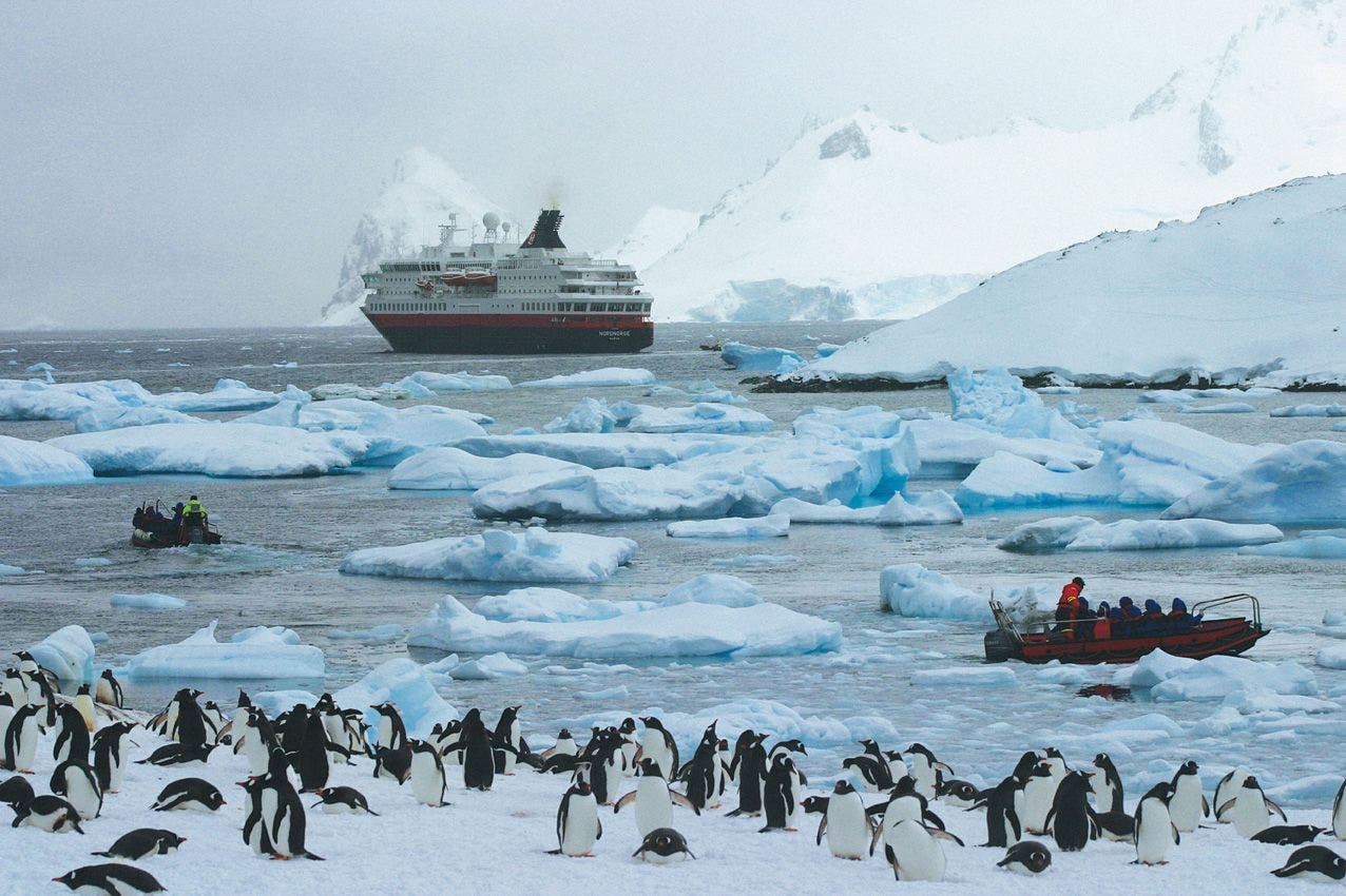 Крупнейшее антарктическое. Арктика Антарктика Антарктида. Северный Ледовитый океан и Антарктида. Арктика острова в Северном Ледовитом океане. Побережье Антарктиды.