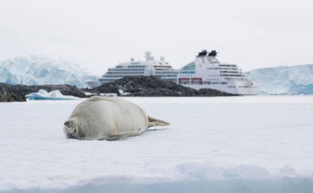 Cruceros expediciÃ³n y aventura. Foto Seabourn.