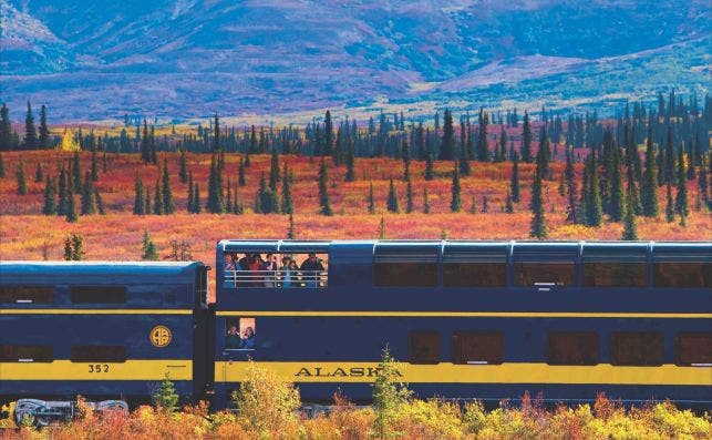 Delani Star Mirador Foto Alaska Railroad