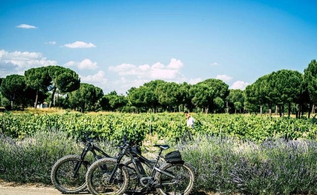 El hotel ofrece diferentes experiencias para explorar los alrededores. Foto AbadÃ­a Retuerta LeDomaine.