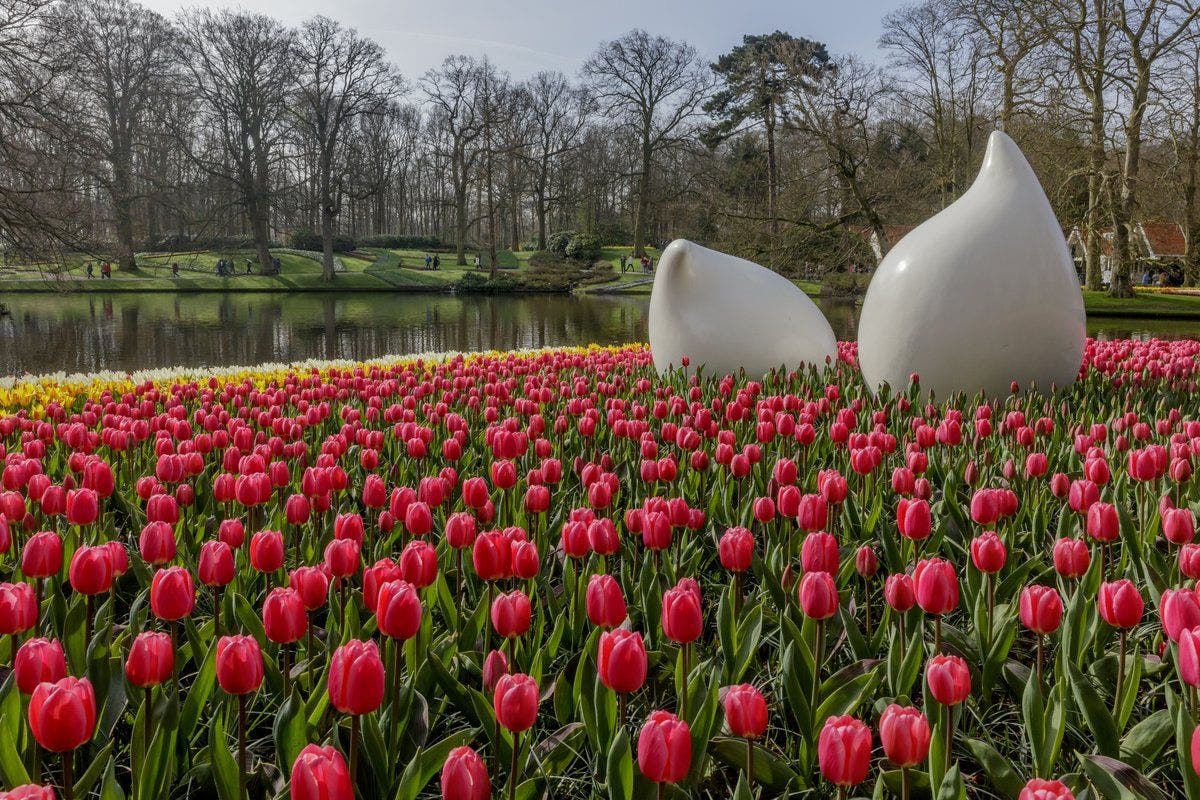 El jardÃ­n cuenta ademÃ¡s con alrededor de 100 esculturas. Foto Keukenhoff.