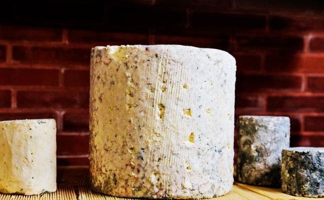 El queso azul Savel se presenta en piezas de 1.5 kilogramos