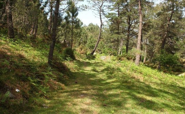 El sendero de mi abuelo, Monte Aloia. Foto Contando Estrelas Flickr