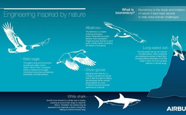 Engineering inspired by nature