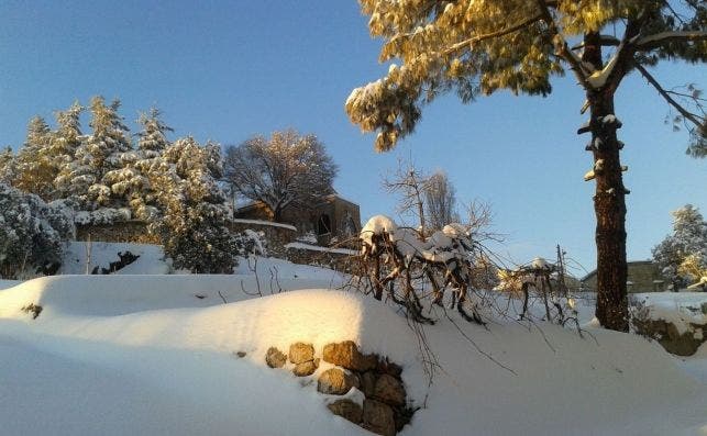 En invierno, la nieve cubre la bodega ChÃ¢teau Fakra.