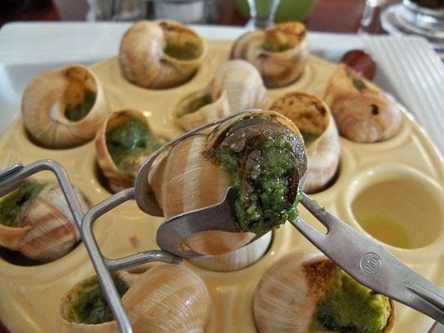 Escargots aÌ€ la bourguignonne Foto Wikipedia