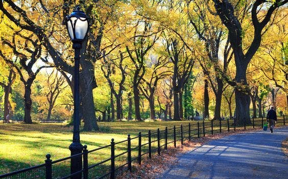 farola central park