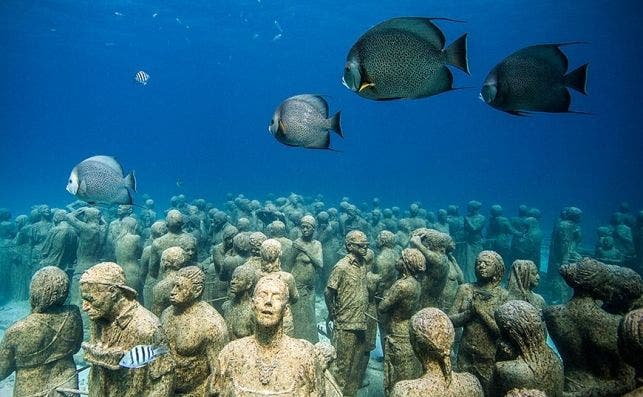 fish and statues