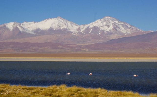 Flamencos en los Ojos del Salado. Foto Sernatur