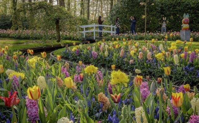 FloraciÃ³n de tulipanes, Keukenhof.