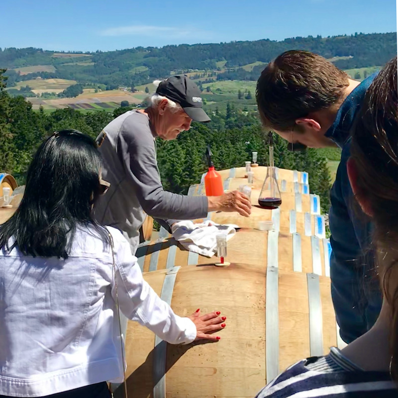 Turismo enolÃ³gico en el Valle de Willamette.