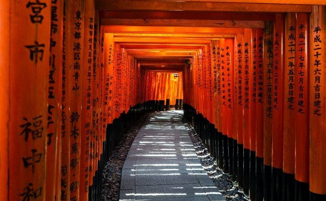 Fusihimi Inari, Kyoto. Foto David Emrich Unsplash