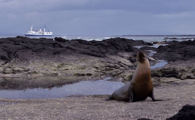 Las islas GalÃ¡pagos tienen una biodiversidad Ãºnica en el mundo. Foto: Pantxorama.