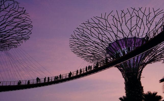 Garden Bay Singapur Foto MF Evelyn   Unsplash