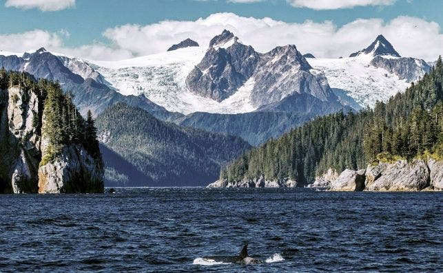 Glaciares en Alaska. Foto Regent Seven Seas.