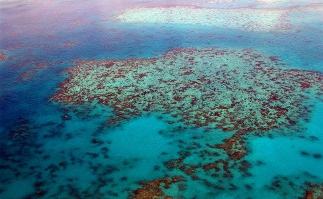 Gran Barrera de Coral. Foto Gaby Stein Pixabay.