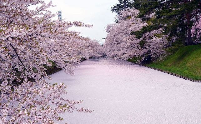 HirosakiÂ©Hirosaki cityÂ©JNTO