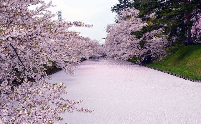 HirosakiÂ©Hirosaki cityÂ©JNTO