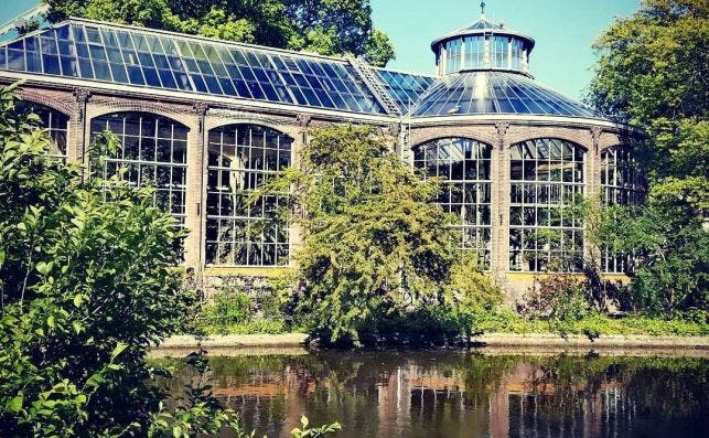 Hortus Botanicus Foto Visit Holland
